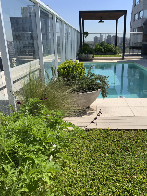 Terraza de Sol